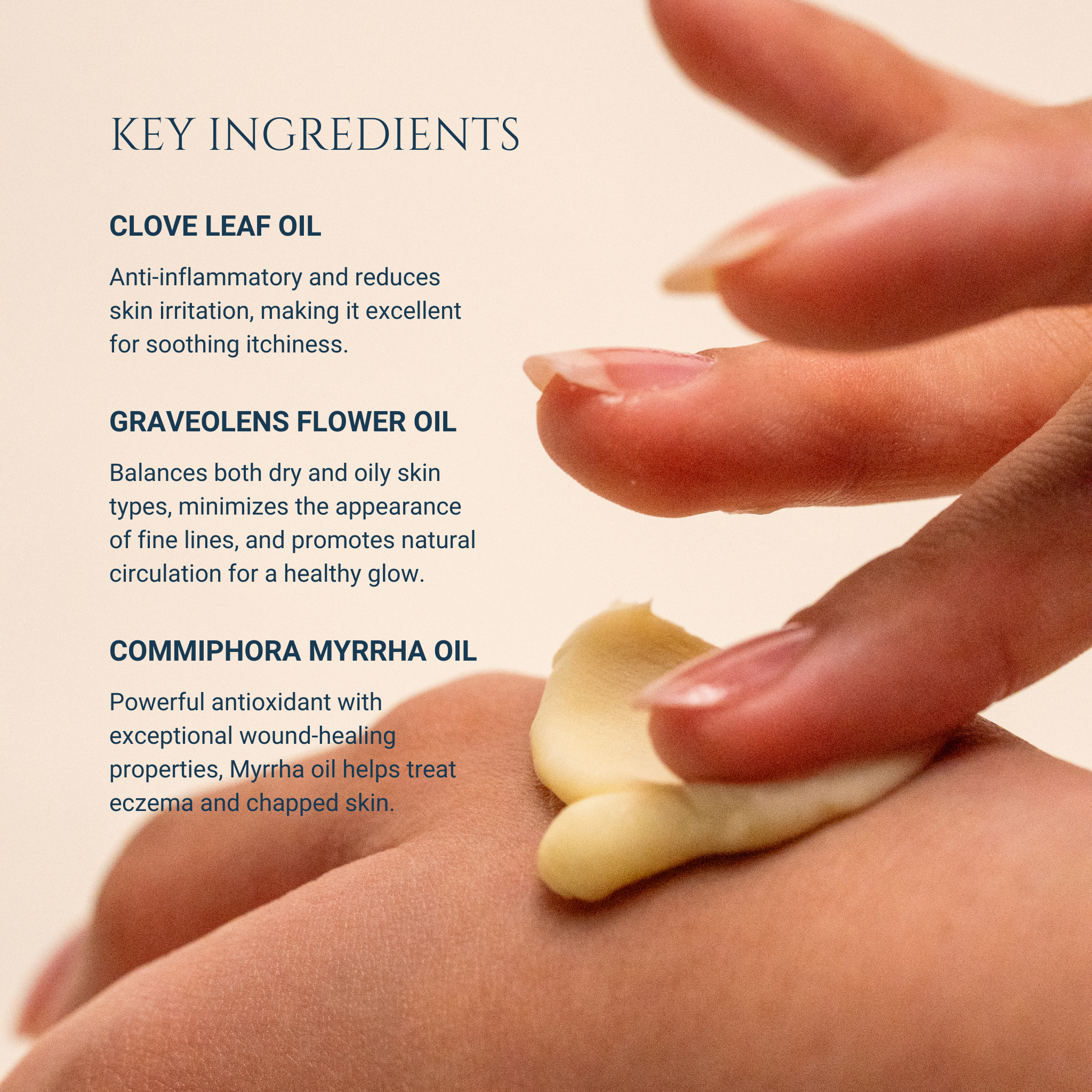 Absoderm (50g)