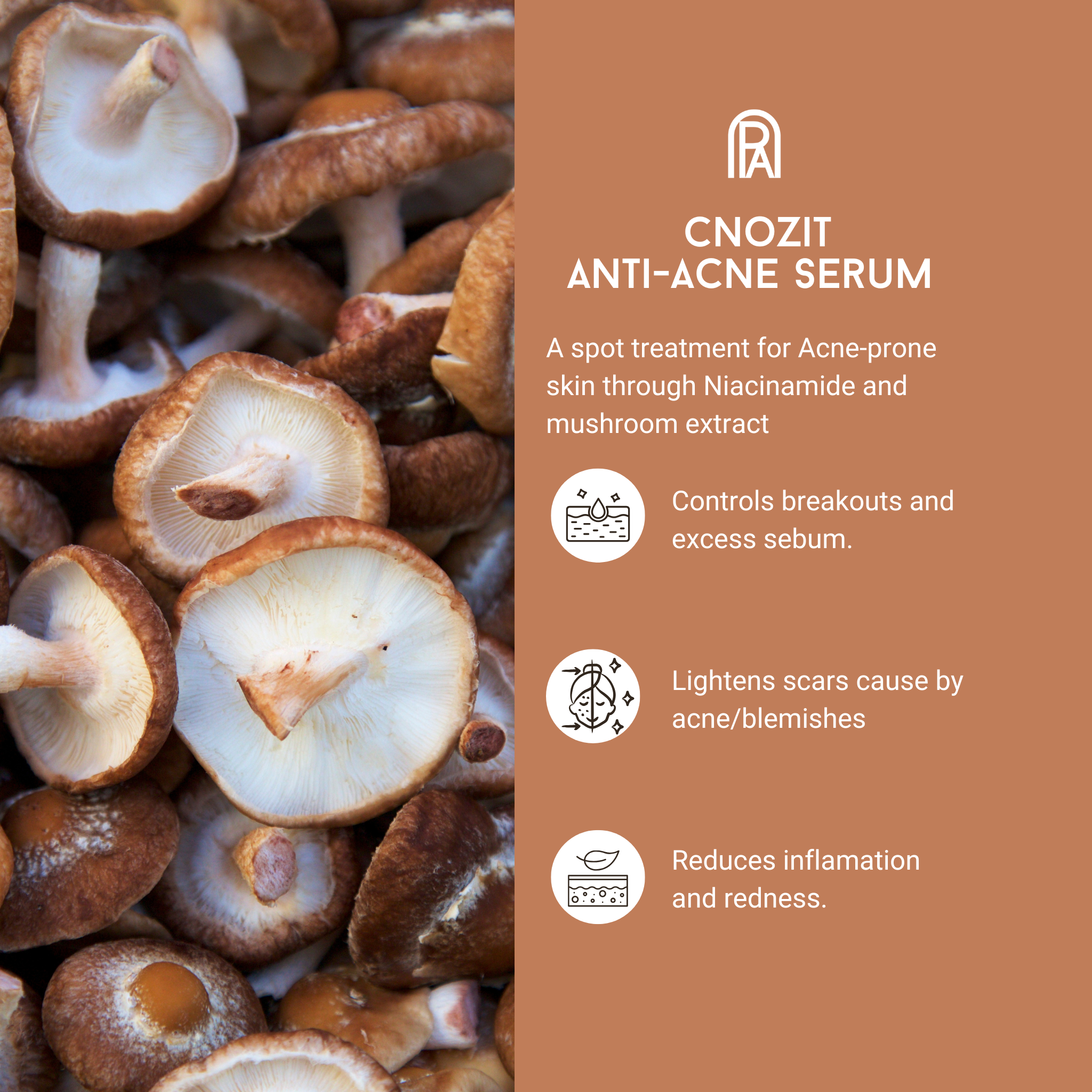 Cnozit Anti-Acne Niacinamide Serum (15ml)